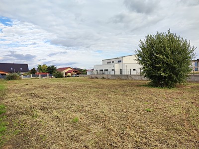 Trnková, Křenice